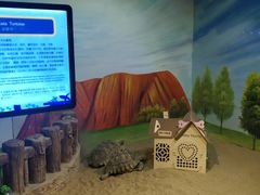 -华夏文旅西安度假区