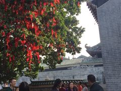 -悦城龙母祖庙