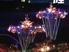 -珠海长隆海洋王国