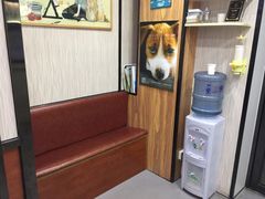-安安宠医宠物医院·异宠·犬猫内科(岳阳分院)