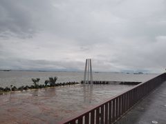 -上海滨江森林公园