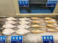 -双井轩(双井店)
