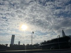 -深圳湾公园(南山区)
