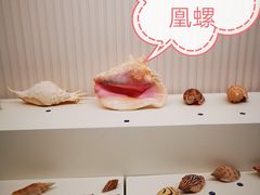 -青岛贝壳博物馆