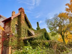 -鸭绿江海鲜烧烤大排档(杏林街店)