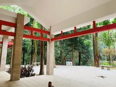 -火炉山森林公园