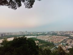 -顺峰山公园