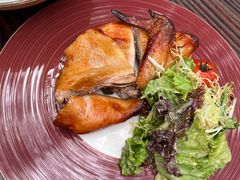 -Golden Lily河内巴黎法越料理餐厅(建国西路店)