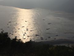 -小皓村