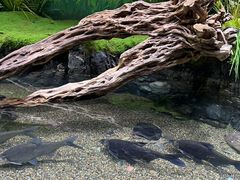 -海合安成都极地海洋公园