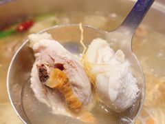 -千岛蚝高压锅生蚝·人参火锅(白云万达店)