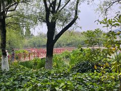-月牙潭公园