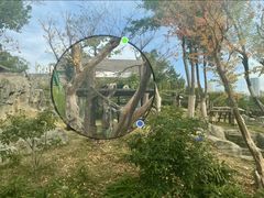 -武汉动物园