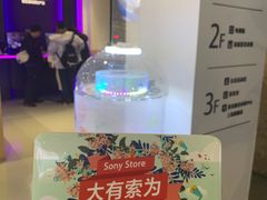 -Sony Store 索尼(上海淮海中路店)