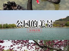 -河北省园博园