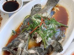 -众味海鲜大排档·活海鲜·潮汕味(南澳店)