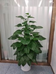 -痘院长·祛痘·皮肤管理
