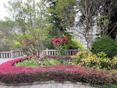 -乌山风景区
