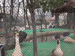 -陕西广播电视塔