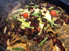 -老板恋上鱼(恒隆广场店)