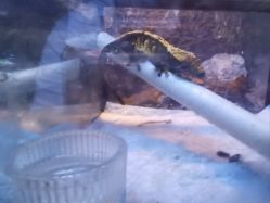 -酷嗒动物文化乐园(cutezoo西溪乐天城店)