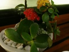 -芽庄洲际酒店自助餐厅