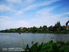 -南通濠河风景名胜区