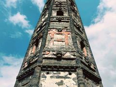 -上海佘山国家森林公园天马山园