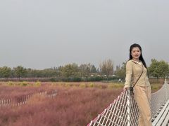 -嘉北郊野公园