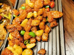 -老板恋上鱼(荣盛广场店)