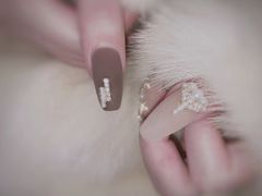 -万象影城(深圳布吉万象汇IMAX店)