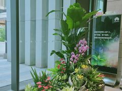 -荷兰布尔玛国际花艺学院