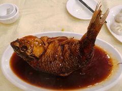 罾蹦鲤鱼-奥华餐厅·老张记(台基厂店)
