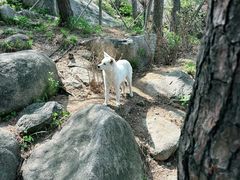-崂山仰口游览区