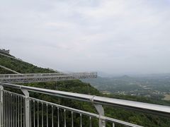 -呀诺达热带雨林