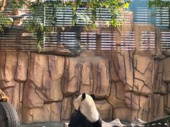 -泉州海丝野生动物世界