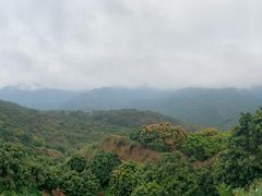 -广州市石门国家森林公园