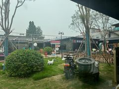 -阳坊胜利涮羊肉(阳坊老店)