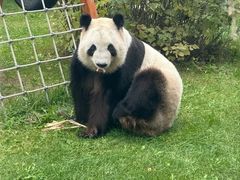 -鄂尔多斯野生动物园