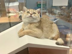 -狗道宠物(常熟印象城店)