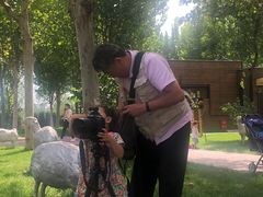 -九十九顶毡房(阜石路店)