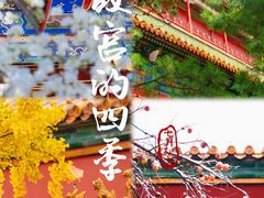 -故宫博物院(故宫)