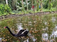 -海南热带野生动植物园
