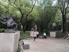 -晓港公园