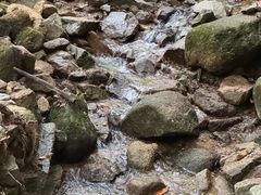 -火炉山森林公园