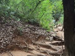 -灵岩山风景区