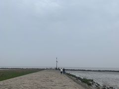-南汇嘴观海公园