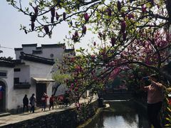 -绩溪龙川景区