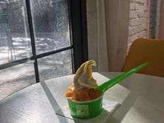 -Salud撒露欧洲冻酸奶(798艺术区店)