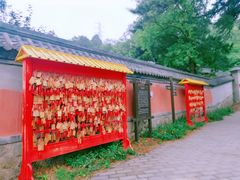 -阳台山自然风景区